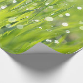 Tau-Tropfen auf Gras Geschenkpapier (Ecke)