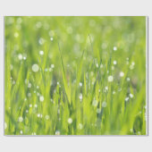 Tau-Tropfen auf Gras Geschenkpapier (Flach)
