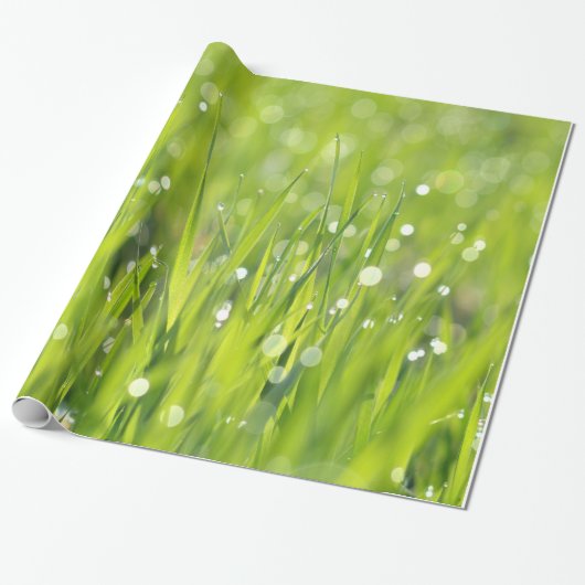 Tau-Tropfen auf Gras Geschenkpapier (Ungerollt)