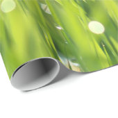 Tau-Tropfen auf Gras Geschenkpapier (Rolleneckpunkt)