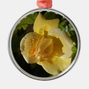 Tau-Tropfen-Gelb-Rose Silbernes Ornament