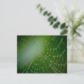 Tau-Tropfen Postkarte (Stehend Vorderseite)