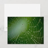 Tau-Tropfen Postkarte (Vorne/Hinten)