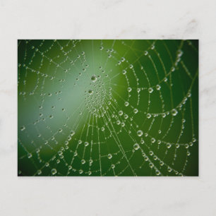 Tau-Tropfen Postkarte