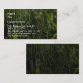 Tau und Spiderwebs Visitenkarte (Vorne/Hinten)