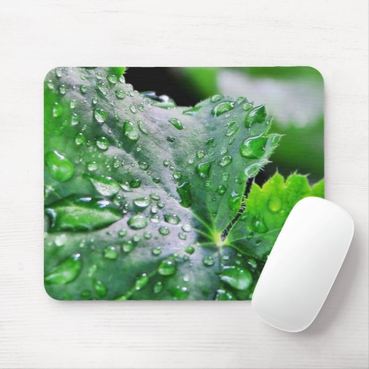 Tau-Wasser-Tröpfchen-Tropfen Mousepad (Mit Mouse)