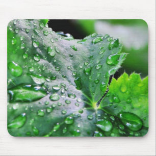 Tau-Wasser-Tröpfchen-Tropfen Mousepad