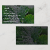 Tau-Wasser-Tröpfchen-Tropfen Visitenkarte (Vorne/Hinten)