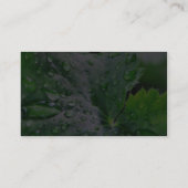 Tau-Wasser-Tröpfchen-Tropfen Visitenkarte (Rückseite)