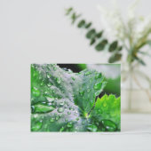 Tau Wassertropfen Tröpfchen Postkarte (Stehend Vorderseite)