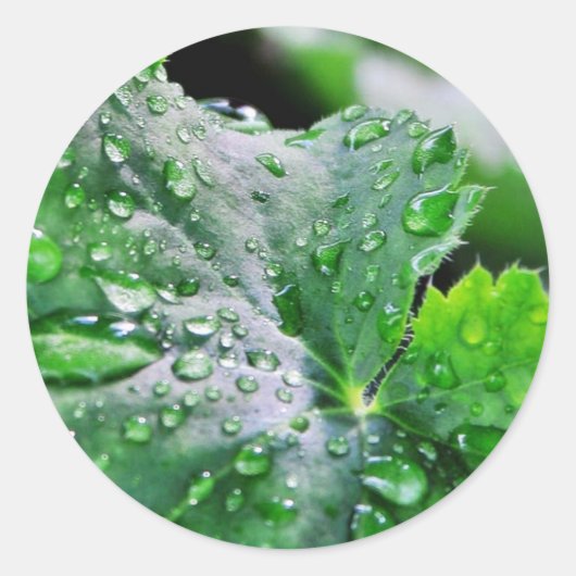 Tau Wassertropfen Tropfen Runder Aufkleber (Vorderseite)