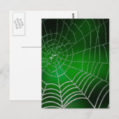 Taub auf Spinnennetz Postkarte (Vorne/Hinten)