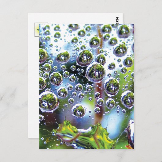 Taub tropft kaskadiert in Himmel, mesmerisierend b Postkarte (Vorne/Hinten)