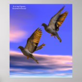 Täubchenbild für Poster (Vorne)