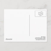 Taube am Roath Park Lake Cardiff Postkarte (Rückseite)