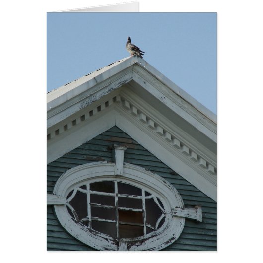 Taube auf dem alten Haus (Vorne)