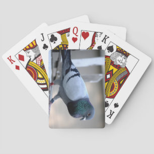 Taube auf den Loft spielen Karten Spielkarten