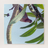 Taube auf einem Baum-Puzzle Puzzle (Horizontal)