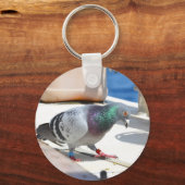 Taube auf einer Yacht Schlüsselanhänger (Vorderseite)