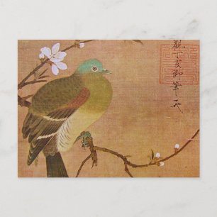 Taube auf einer Zweigstelle in Peach Postkarte