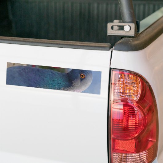 Taube Autoaufkleber (Auf Lkw)