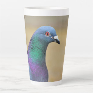 Taube Bunte Feder Vogel Fotografie Portrait Milchtasse