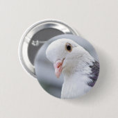 Taube Button (Vorne & Hinten)
