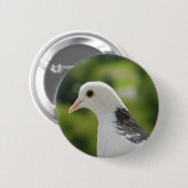 Taube Button (Vorne & Hinten)