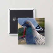 Taube Button (Vorne & Hinten)