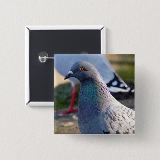 Taube Button (Vorne & Hinten)