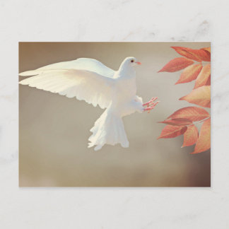 Taube Christliches inspirierendes religiöses Beile Postkarte
