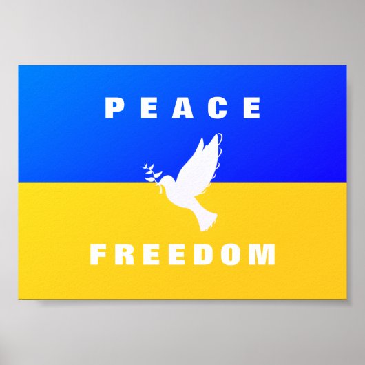Taube des Friedens - Flagge der Ukraine - Frieden  Poster (Vorne)