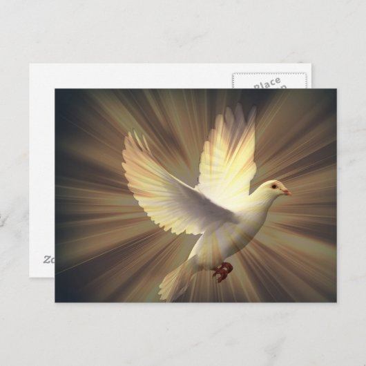 Taube des Friedens. Postkarte (Vorne/Hinten)