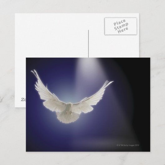 Taube durch Lichtstrahl Postkarte (Vorne/Hinten)