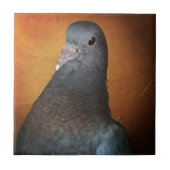 Taube Fliese (Vorderseite)