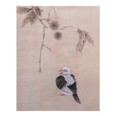 Taube Fotodruck (Vorne)