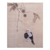 Taube Fotodruck (Vorne)