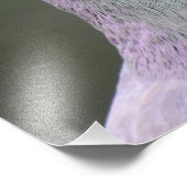 Taube Fotodruck (Ecke)