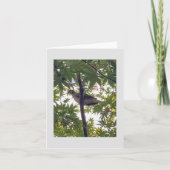 Taube gewartet karte (Vorderseite)