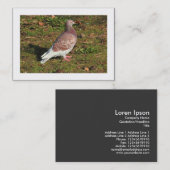 Taube (grenzt) visitenkarte (Vorne/Hinten)