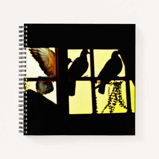 Taube im Flug Notizblock (Vorderseite)