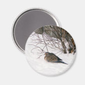 Taube im Schneemagnet Magnet (Vorderseite/Rückseite)