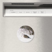 Taube im Schneemagnet Magnet (In Situ (Geschirrspüler))