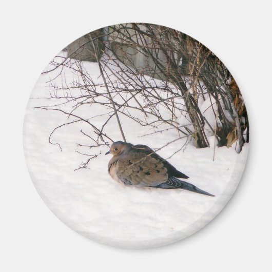 Taube im Schneemagnet Magnet (Vorne)