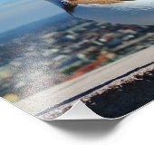 Taube in Budapest Fotodruck (Ecke)