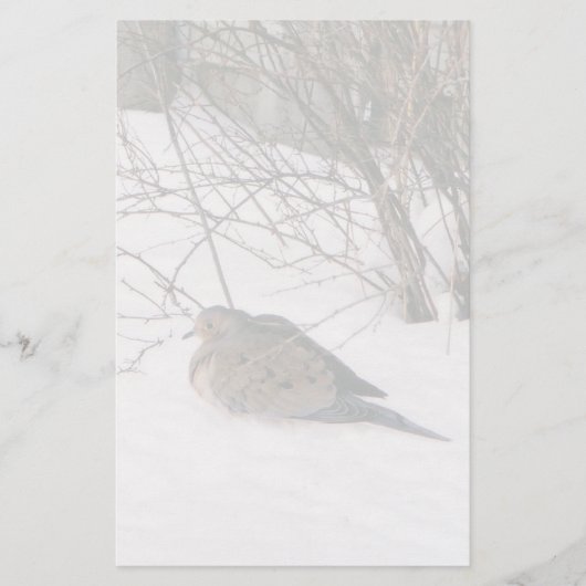 Taube in der Schneestation Briefpapier (Vorderseite)