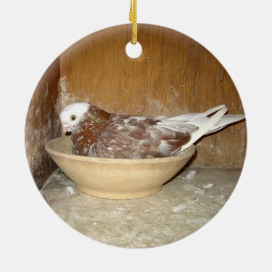 Taube in ihrer Nest-Schüssel-Verzierung Keramikornament (Hinten)