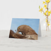 Taube Karte (Gelbe Blume)