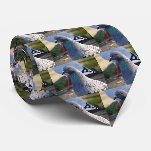Taube Krawatte (Gerollt)