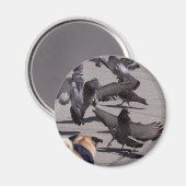 Taube Magnet (Vorderseite/Rückseite)